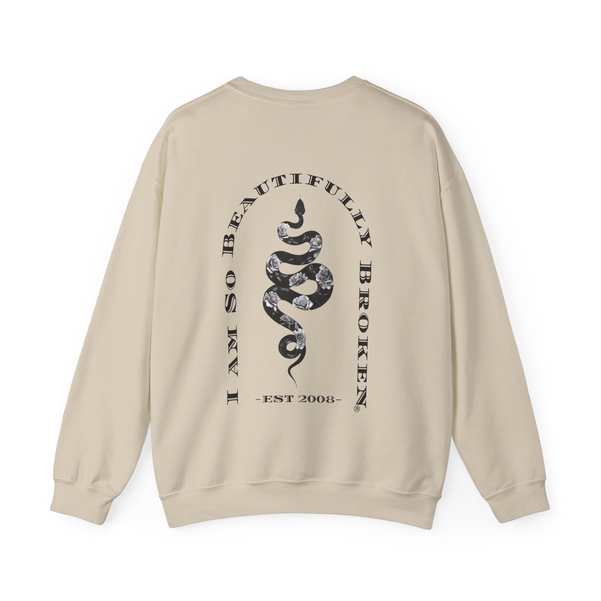 13287959581419795883_2048jpeg - So Beautifully Broken